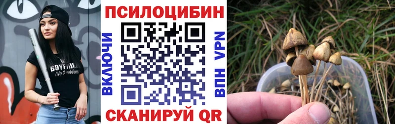 Псилоцибиновые грибы GOLDEN TEACHER  Алагир 